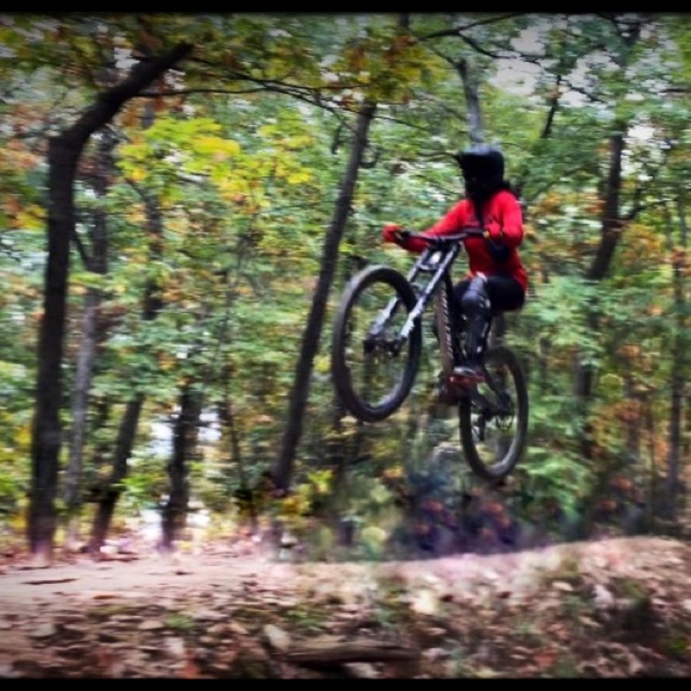 Hi - Picture 12 of 16